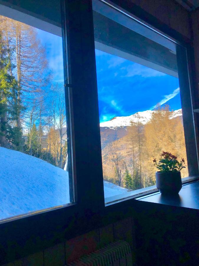 **New**Marilleva 1400**Trilocale Sulle Piste Apartman Kültér fotó